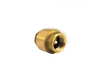 Check valve 1 inch threads