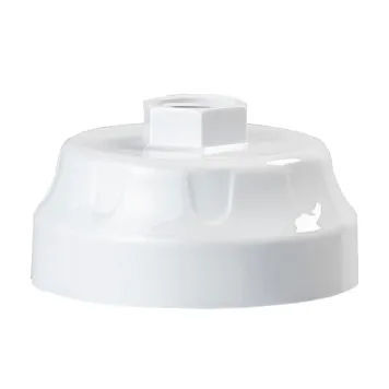 AQVA Shower filters cap